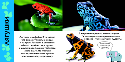 Зоопарк. Первая книга знаний (с набором развивающих игр), производитель Махаон , ISBN 978-5-38912-832-3№ 3