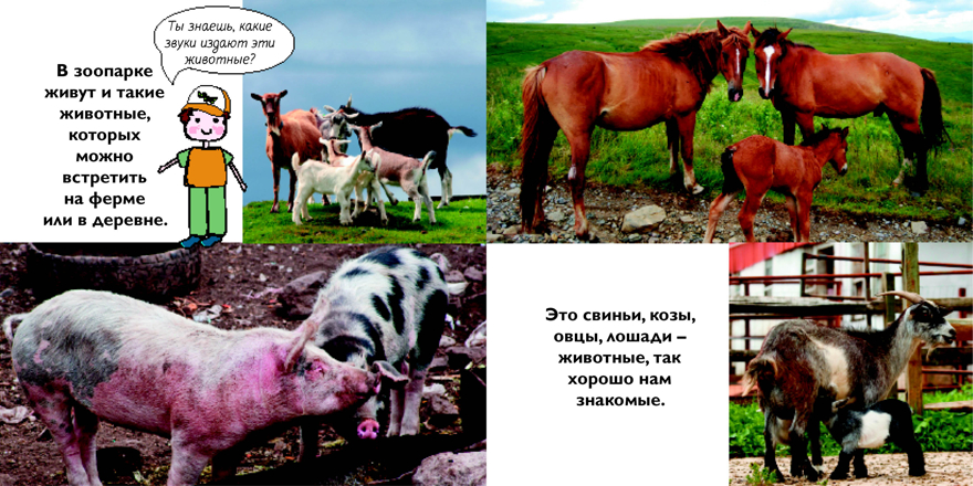 Зоопарк. Первая книга знаний (с набором развивающих игр), производитель Махаон , ISBN 978-5-38912-832-3, № 6