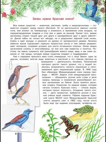 Красная книга России. Пескова И.М., Смирнова С.В., производитель АСТ , ISBN 978-5-17091-649-8№ 6
