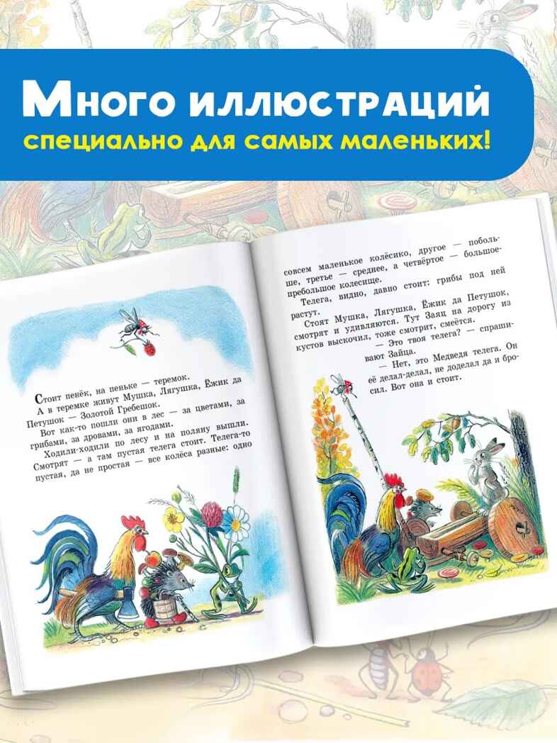 Сказки и картинки. Сутеев В.Г., производитель АСТ , ISBN 978-5-17089-193-1, № 4