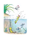 Сказки и картинки. Сутеев В.Г., производитель АСТ , ISBN 978-5-17089-193-1, № 9