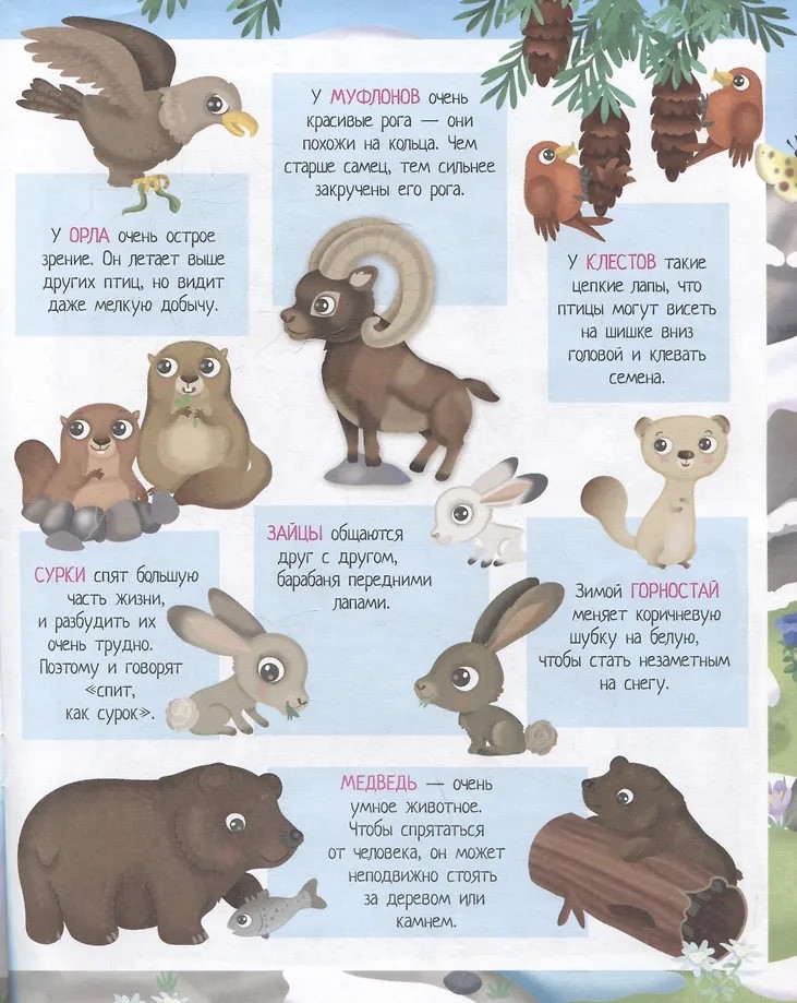 Книжка с наклейками формат А4. Приключения на горных вершинах 50 наклеек \ Барсотти Э., производитель Айрис-пресс , ISBN 978-5-81128-744-4, № 2