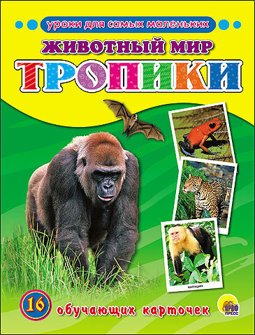 Обучающие карточки. Животный мир. Тропики, производитель Проф-Пресс , ISBN 978-5-37825-510-8, № 1