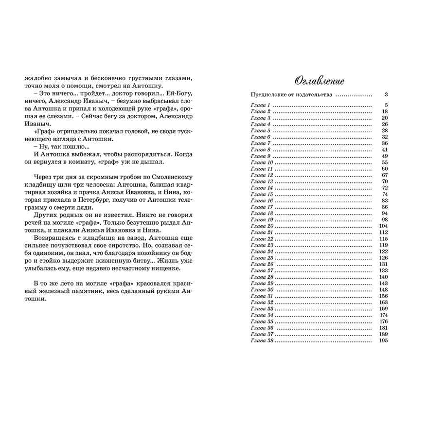 Антошка. История одной жизни, производитель ЭНАС-КНИГА , ISBN 978-5-00198-381-1, № 5