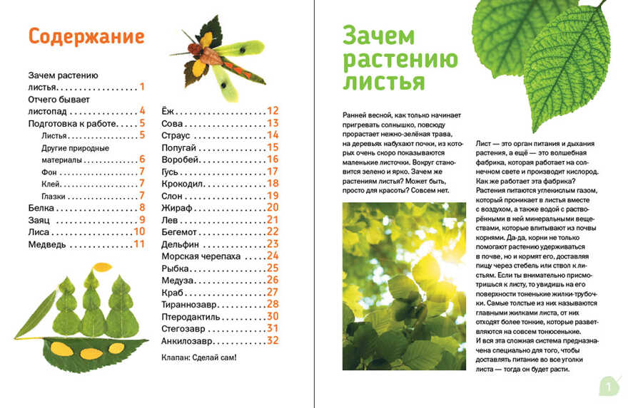 Аппликации из листьев., производитель АСТ Пресс , ISBN 978-5-46201-806-0, № 2