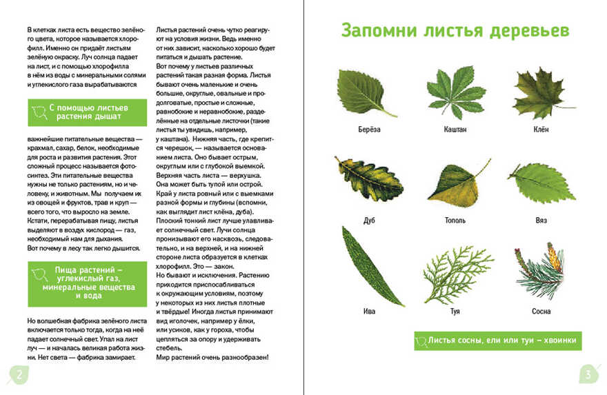 Аппликации из листьев., производитель АСТ Пресс , ISBN 978-5-46201-806-0, № 3