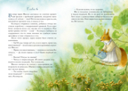 Фея Фиалка, колдунья Календула и охапка медведей. Симбирская Ю.С., производитель Нигма, ISBN 978-5-43350-924-5, № 3