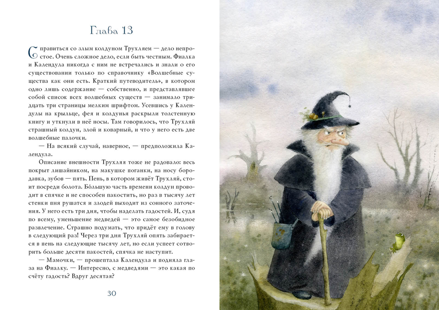 Фея Фиалка, колдунья Календула и охапка медведей. Симбирская Ю.С., производитель Нигма, ISBN 978-5-43350-924-5, № 5