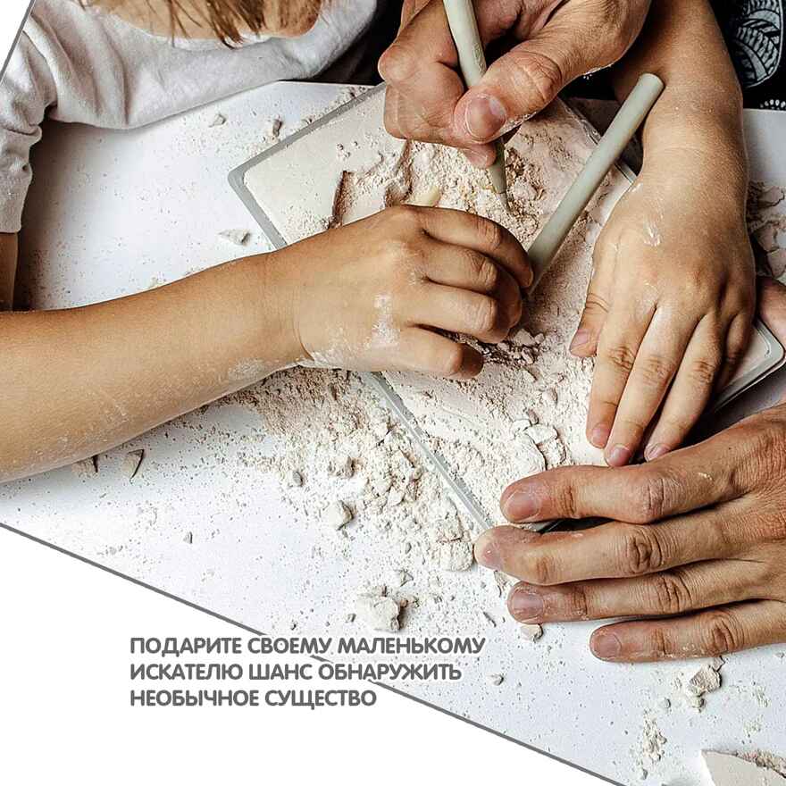 Исторические раскопки Стегозавр, арт. ВВ4208, производитель Bondibon (Бондибон), ISBN 489-5-13604-122-7, № 9
