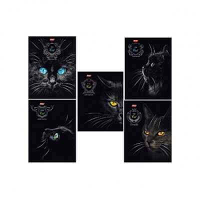 Тетрадь Royal cats А5, 48 листов, клетка, арт. 48Т5вмВ1/Cat, производитель Hatber (Хатбер), ISBN 460-6-78216-716-8№ 1