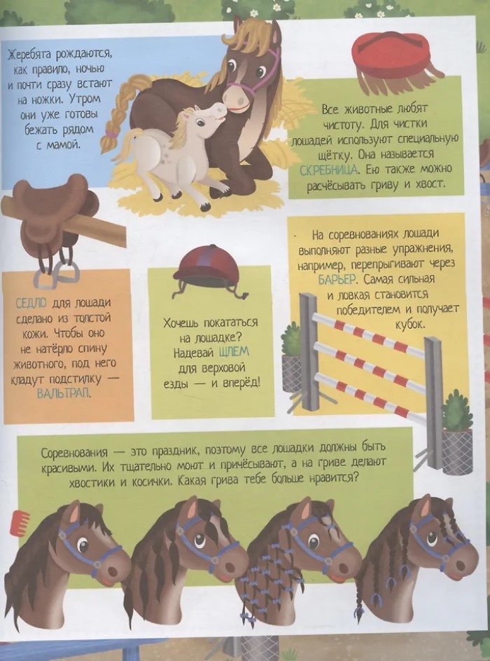 Книжка с наклейками формат А4.Грациозные лошадки. 70 наклеек. \ Барсотти Э., производитель Айрис-пресс , ISBN 978-5-81128-757-4, № 3