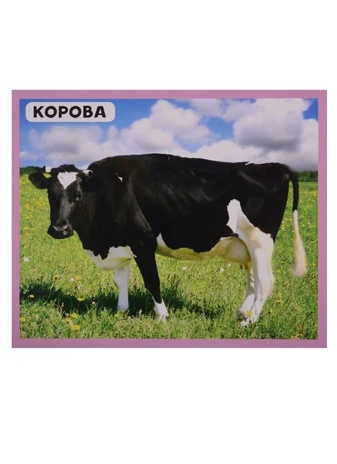 Разумные карточки. Домашние животные., производитель Проф-Пресс , ISBN 978-5-37829-118-2№ 5