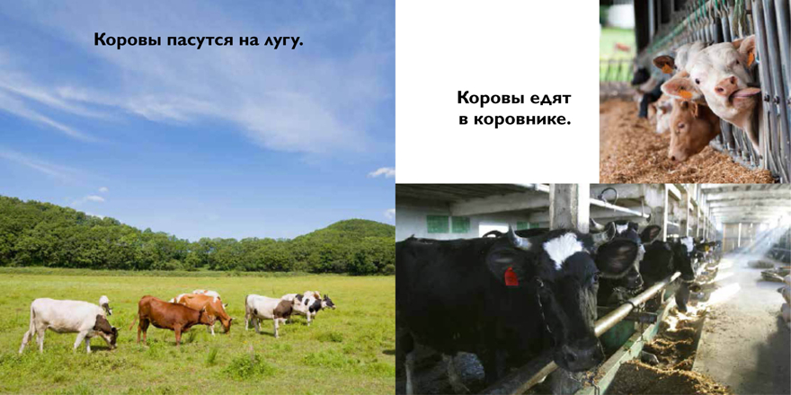 На ферме. Первая книга знаний (с набором развивающих игр), производитель Махаон , ISBN 978-5-38912-831-6, № 3