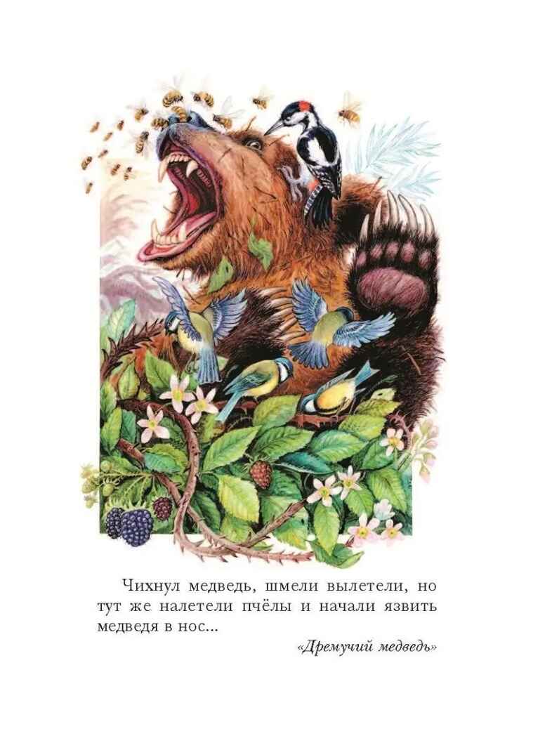 Тёплый хлеб. Сказки и рассказы, производитель АСТ , ISBN 978-5-17147-262-7, № 6