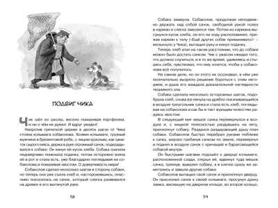 Детство Чика. Искандер Ф. Чтение-лучшее учение, производитель Махаон , ISBN 978-5-38917-290-6№ 5
