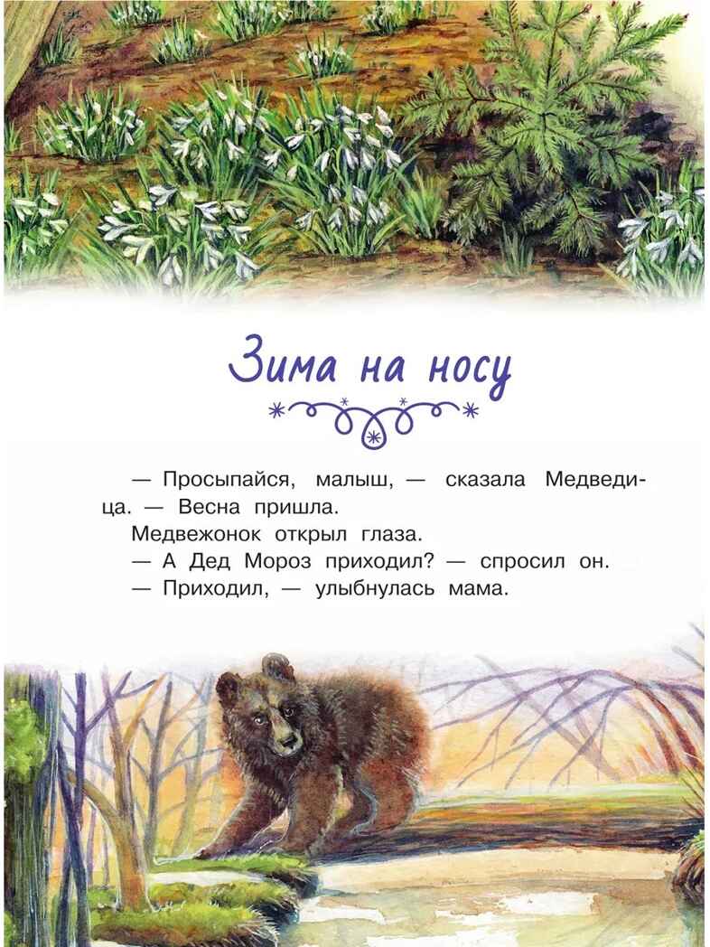Сказки снежного леса, производитель АСТ , ISBN 978-5-17177-339-7, № 4