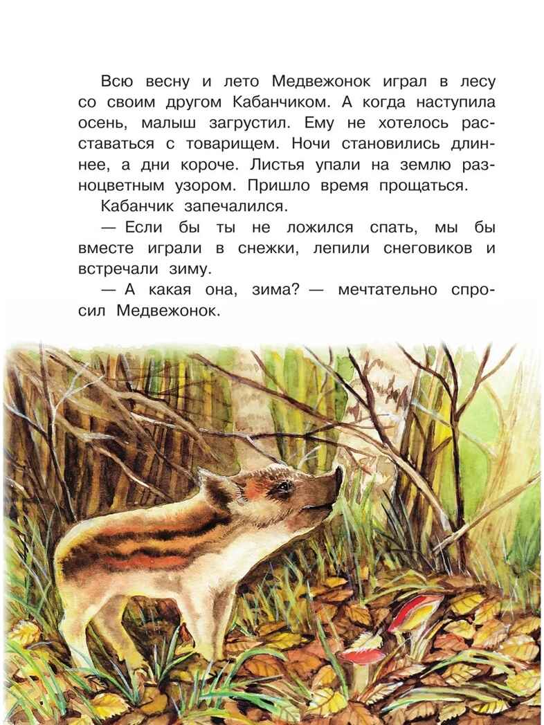 Сказки снежного леса, производитель АСТ , ISBN 978-5-17177-339-7, № 6