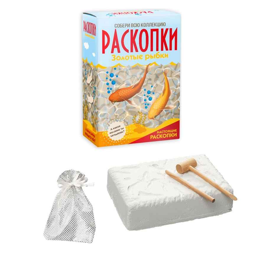 Большой набор для проведения раскопок Золотые рыбки, арт. dig-43, производитель BUMBARAM (БУМБАРАМ), ISBN 462-0-03915-196-0, № 2