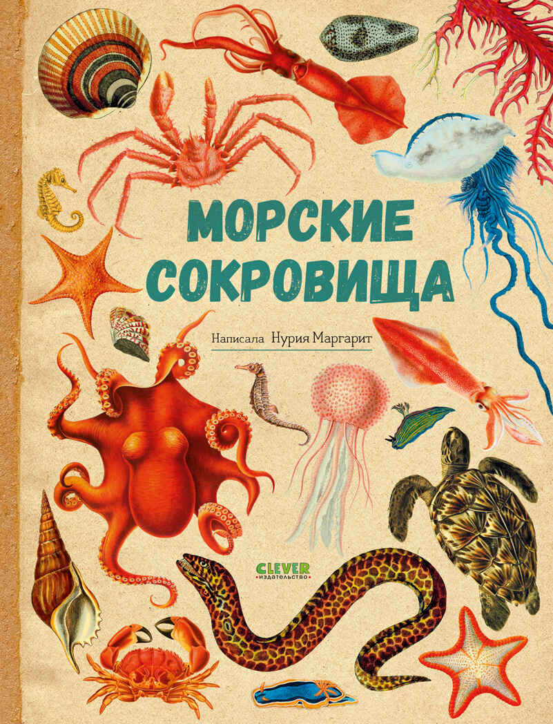 Удивительные энциклопедии. Морские сокровища/Сория К., производитель Клевер (Clever) , ISBN 978-5-00252-230-9, № 1