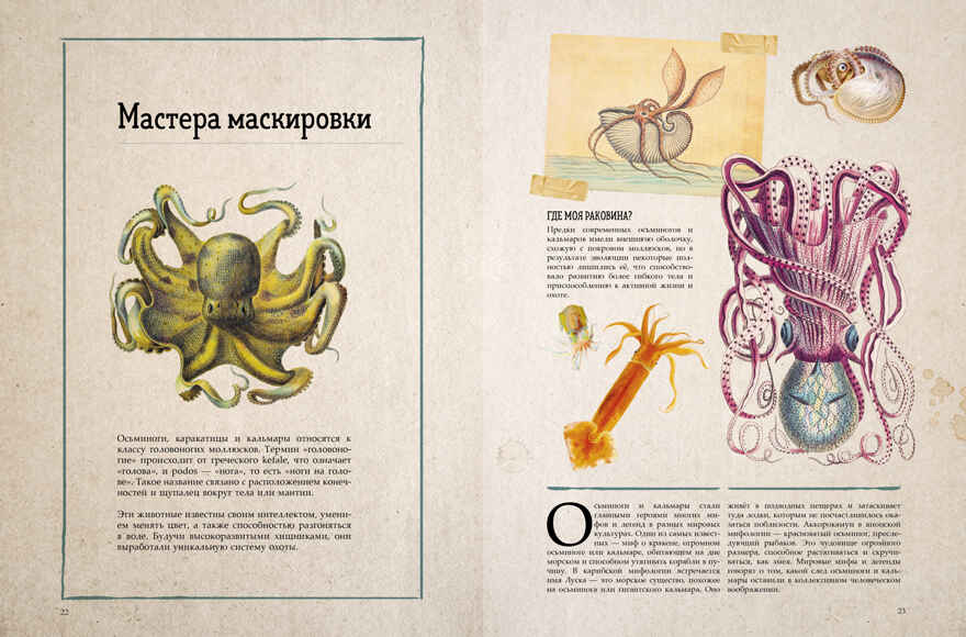 Удивительные энциклопедии. Морские сокровища/Сория К., производитель Клевер (Clever) , ISBN 978-5-00252-230-9, № 3