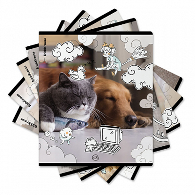 Тетрадь общая ученическая на скобе Dream Cat, А5+, 48 листов, клетка, арт. 54161, производитель ErichKrause® (Эрих Краузе), ISBN 460-1-92154-161-8№ 1