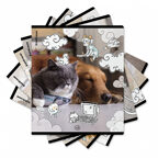 Тетрадь общая ученическая на скобе Dream Cat, А5+, 48 листов, клетка, арт. 54161, производитель ErichKrause® (Эрих Краузе), ISBN 460-1-92154-161-8, № 1