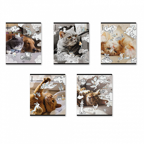Тетрадь общая ученическая на скобе Dream Cat, А5+, 48 листов, клетка, арт. 54161, производитель ErichKrause® (Эрих Краузе), ISBN 460-1-92154-161-8, № 6