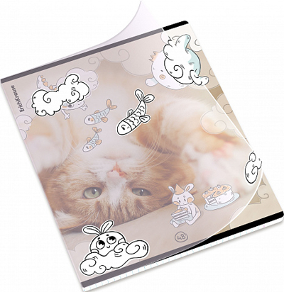 Тетрадь общая ученическая на скобе Dream Cat, А5+, 48 листов, клетка, арт. 54161, производитель ErichKrause® (Эрих Краузе), ISBN 460-1-92154-161-8№ 7