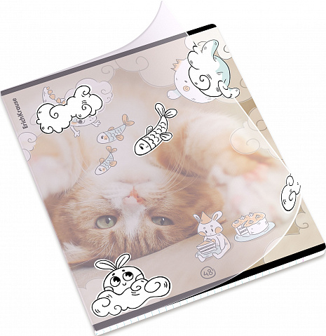 Тетрадь общая ученическая на скобе Dream Cat, А5+, 48 листов, клетка, арт. 54161, производитель ErichKrause® (Эрих Краузе), ISBN 460-1-92154-161-8, № 7
