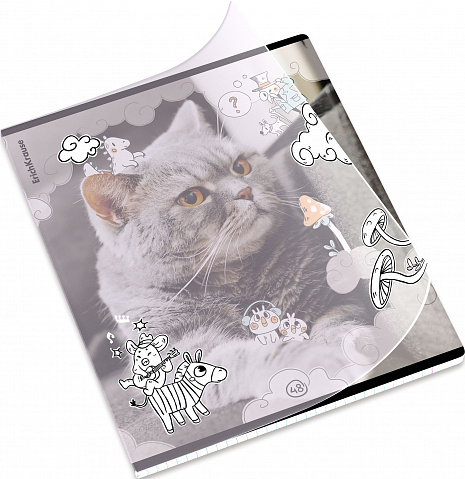 Тетрадь общая ученическая на скобе Dream Cat, А5+, 48 листов, клетка, арт. 54161, производитель ErichKrause® (Эрих Краузе), ISBN 460-1-92154-161-8, № 9