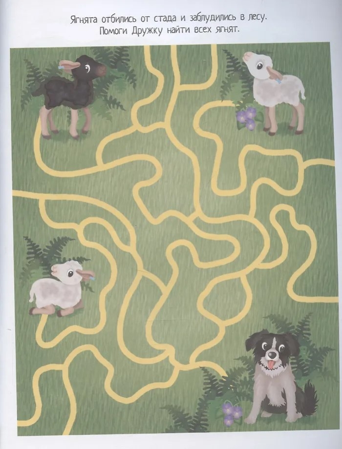 Книжка с наклейками формат А4.Прогулка на ферму. 70 наклеек. \ Барсотти Э., производитель Айрис-пресс , ISBN 978-5-81128-758-1, № 3