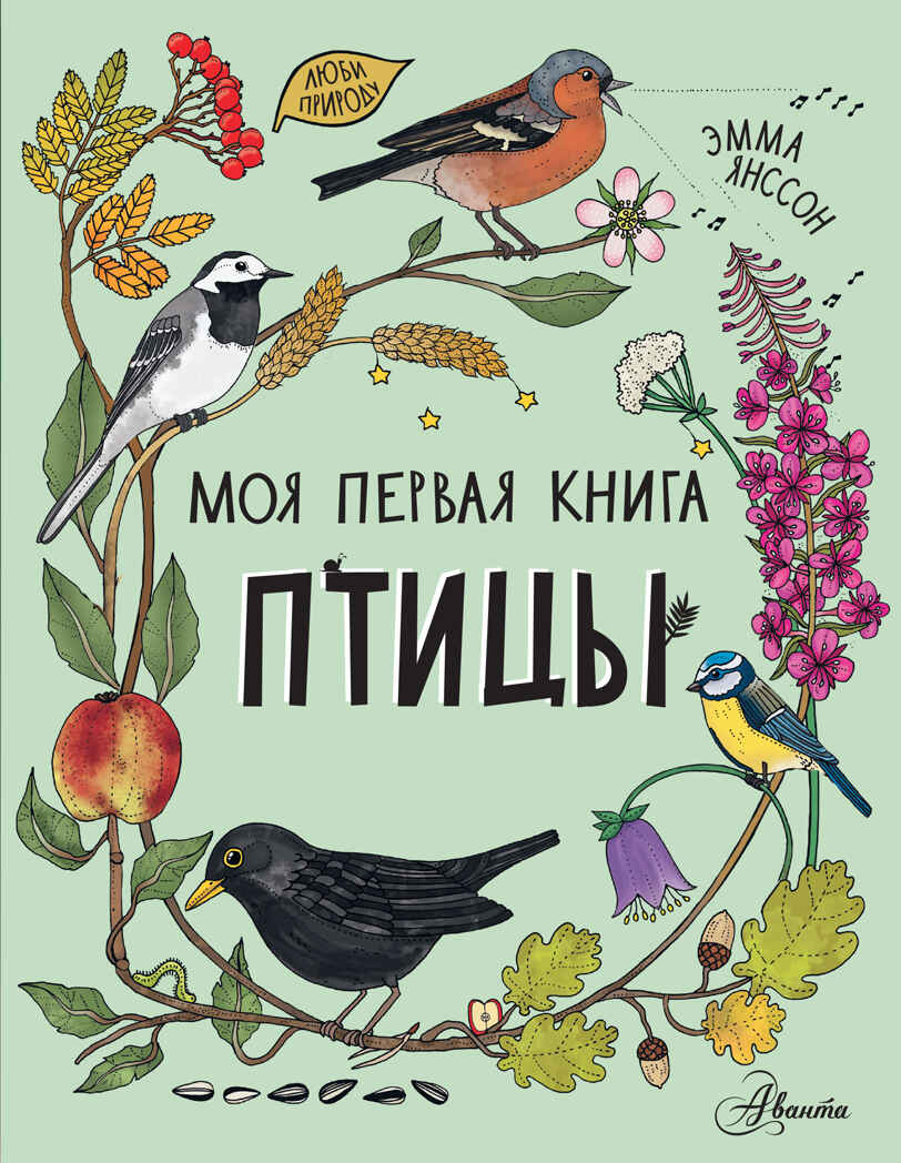 Птицы. Моя первая книга Янссон Э., производитель АСТ , ISBN 978-5-17147-001-2, № 1