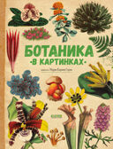 Удивительные энциклопедии. Ботаника в картинках Сория К., производитель Клевер (Clever) , ISBN 978-5-00252-049-7, № 1