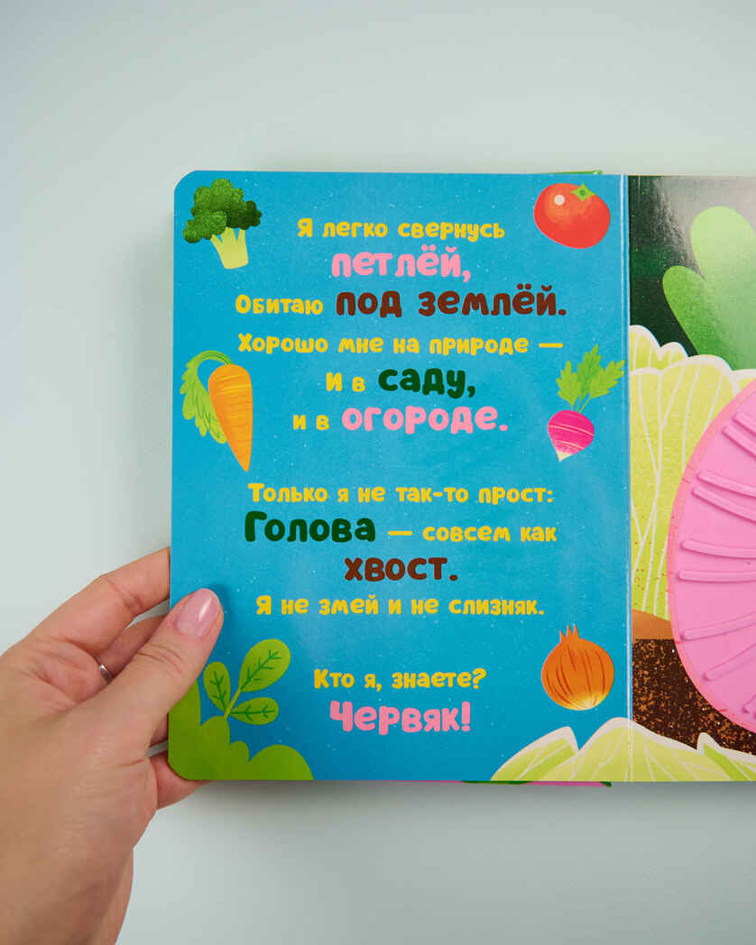 Тактильные книжки. Кто я? В саду/Хансен Д., производитель Клевер (Clever) , ISBN 978-5-00252-058-9, № 4