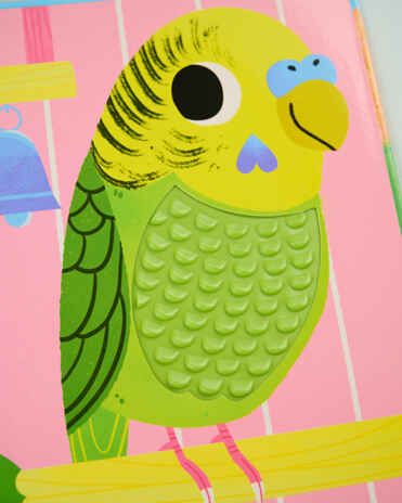 Тактильные книжки. Кто я? Питомцы/Хансен Д., производитель Клевер (Clever) , ISBN 978-5-00252-060-2№ 6