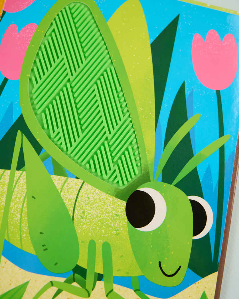 Тактильные книжки. Кто я? Питомцы/Хансен Д., производитель Клевер (Clever) , ISBN 978-5-00252-060-2, № 7