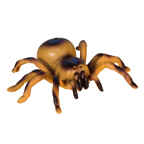 Паук, арт. 8901, производитель Maya Toys, ISBN 481-2-50116-002-4, № 3