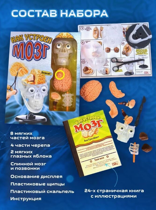 Как устроен мозг. Smart Lab, производитель МАЭСТРО, ISBN 462-7-12318-088-2, № 3