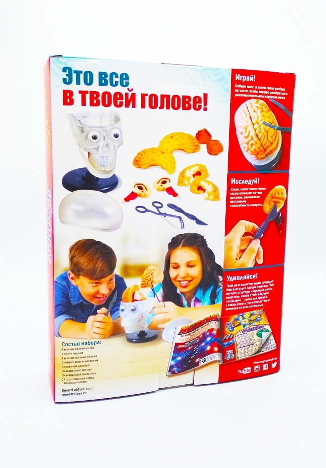 Как устроен мозг. Smart Lab, производитель МАЭСТРО, ISBN 462-7-12318-088-2, № 4