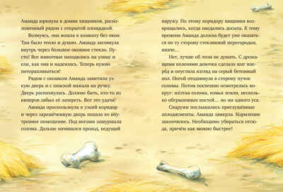 Шоколадус. Секрет ягуара/Фогель М., производитель Клевер (Clever) , ISBN 978-5-00252-071-8№ 4