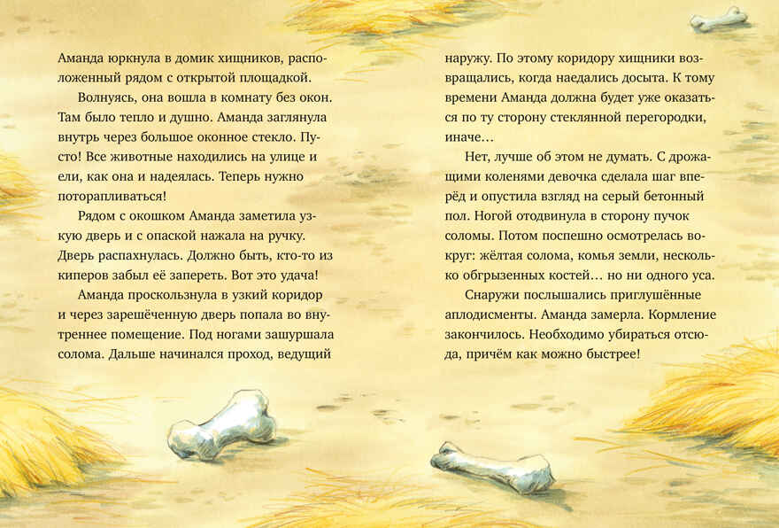 Шоколадус. Секрет ягуара/Фогель М., производитель Клевер (Clever) , ISBN 978-5-00252-071-8, № 4