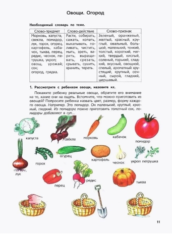 Логопедическая тетрадь для занятий с детьми 6-7 лет с ОНР, производитель Владос, ISBN 978-5-90748-259-3№ 3