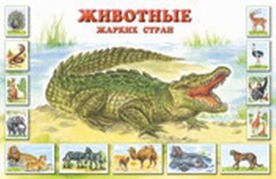 Плакат Животные жарких стран , производитель ИД &quot;Карапуз&quot;, ISBN 978-5-84030-978-0№ 1
