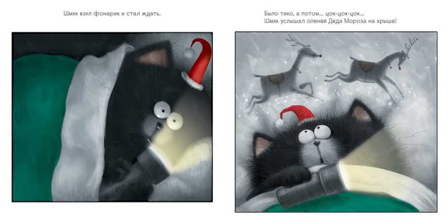 С Новым годом, Шмяк! Скоттон Р. Котенок Шмяк, производитель Клевер (Clever) , ISBN 978-5-91982-563-0, № 5