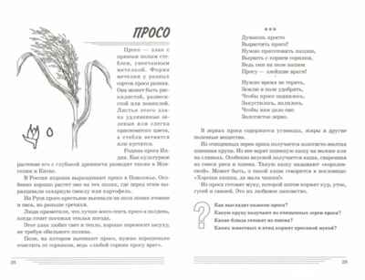 Злаки. Какие они? Путешествие в мир природы и развиие речи., производитель Гном , ISBN 978-5-90771-469-4 № 2