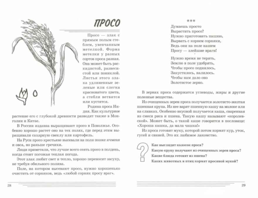 Злаки. Какие они? Путешествие в мир природы и развиие речи., производитель Гном , ISBN 978-5-90771-469-4, № 2
