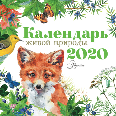 Календарь живой природы 2020. Календарь детский 2020, производитель АСТ , ISBN 978-5-17115-761-6№ 1