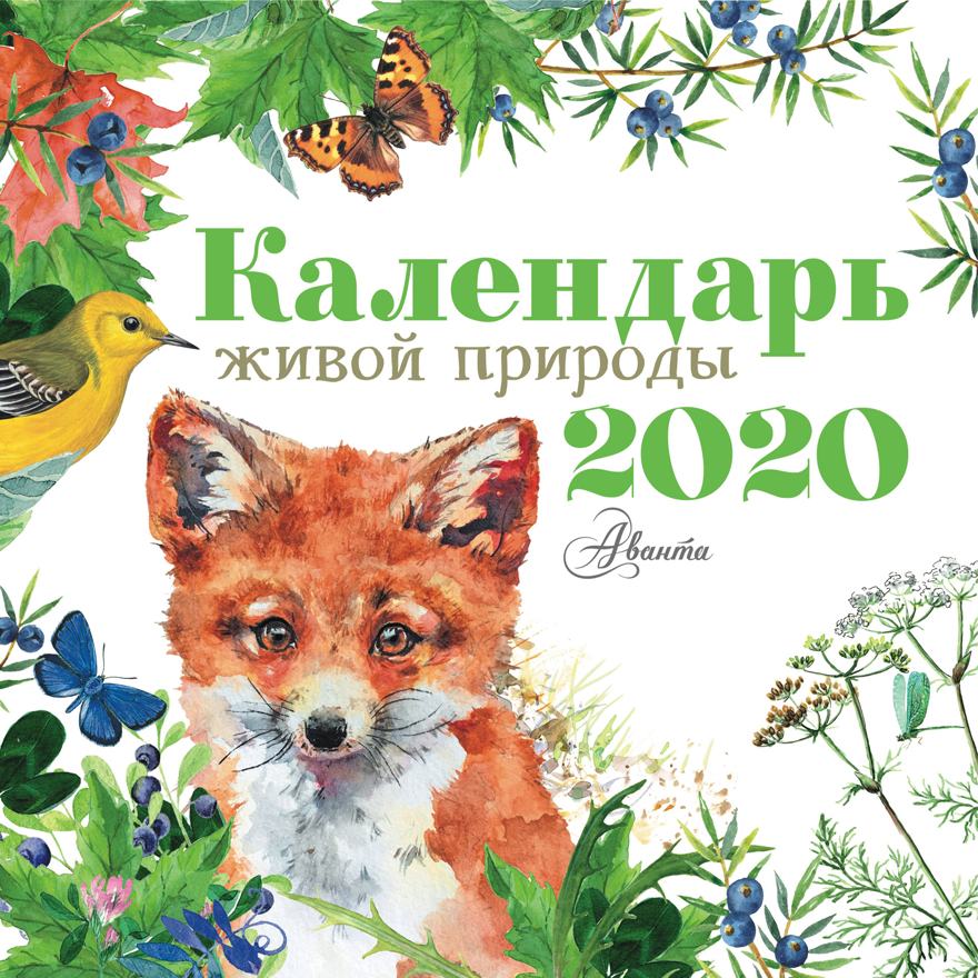 Календарь живой природы 2020. Календарь детский 2020, производитель АСТ , ISBN 978-5-17115-761-6, № 1