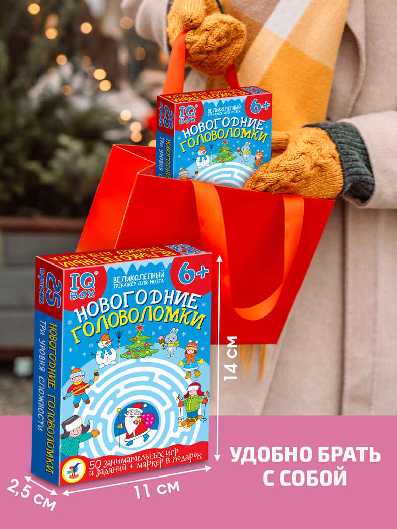 IQ Box. Новогодние головоломки, арт. 4460, производитель Дрофа-медиа, ISBN 463-0-19687-646-0, № 5