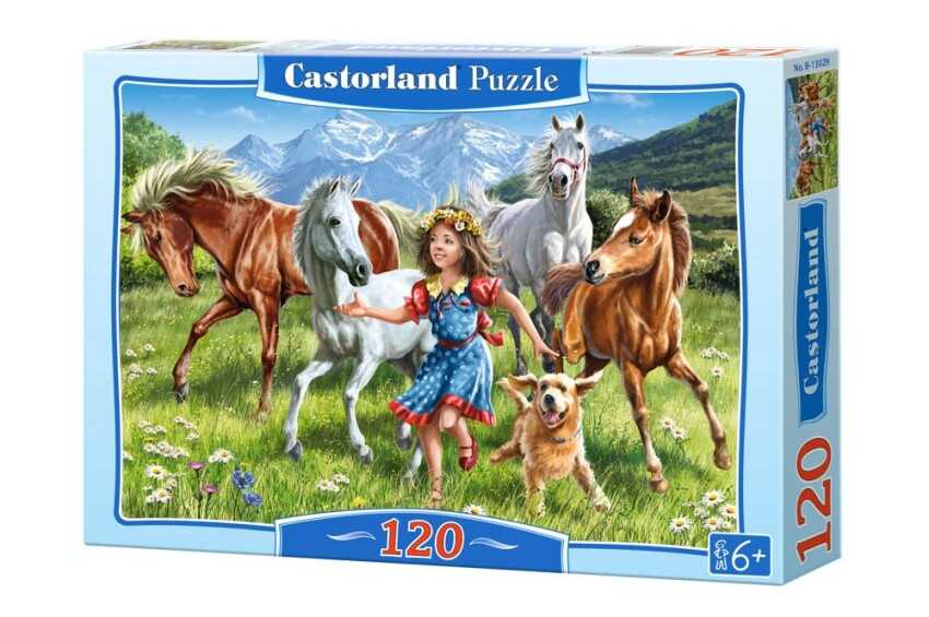 Пазлы На лугу (CastorLand) 120 элементов, арт. В-13029, производитель Castorland (Касторленд), ISBN 590-4-43801-302-9, № 1